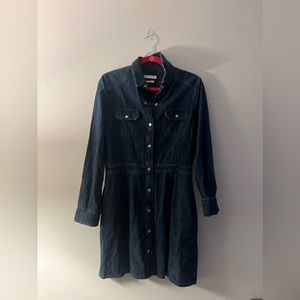 Rag and Bone button-down jean dress